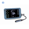 Hiyi Ultrasonido Veterinario THY6 Instrumento de diagnóstico de ultrasonido digital B de alta gama para ganado, caballos, camellos, ovejas y cerdos