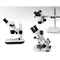 Microscopio ligero óptico continuo del Ploidy 4.5x con los accesorios del microscopio