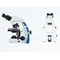 Foco auto binocular del microscopio biológico de la cámara digital Pl10x