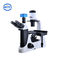 El tubo de la observación del ojo PD100 tres invirtió el microscopio biológico inclinación de 30 grados rotación de 360 grados